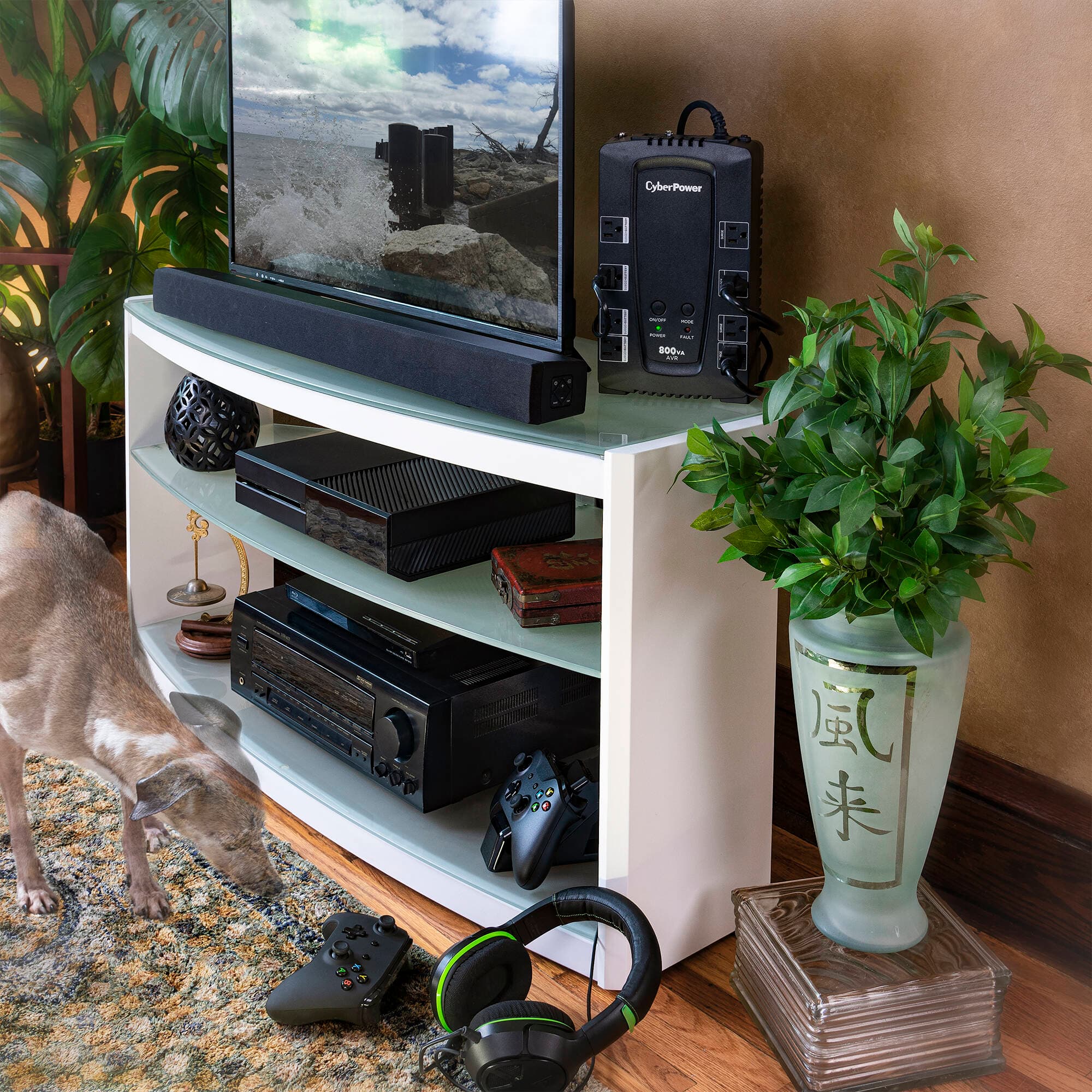 CyberPower CP800AVR 800VA 450W desktop UPS with AVR and 8 outlets